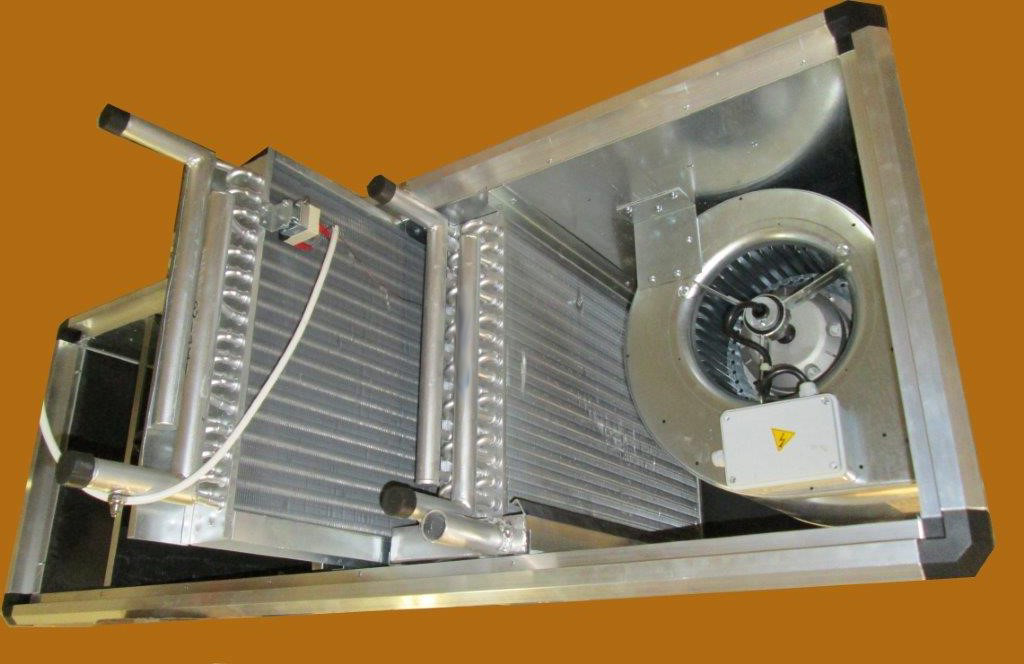 FEHU-M-20